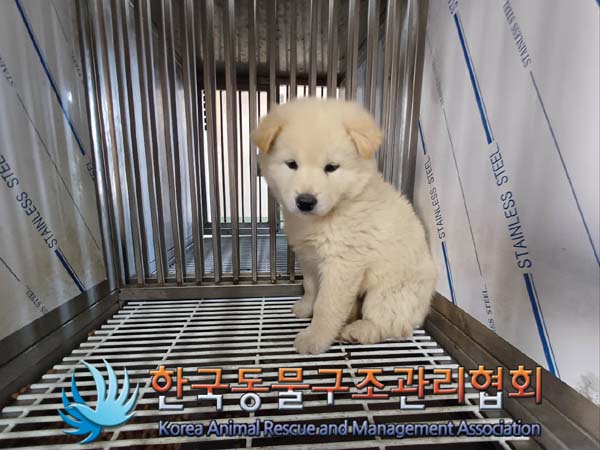한국동물구조관리협회_441414202401011